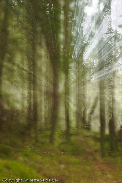 _DSC8055.jpg _DSC8055.jpg