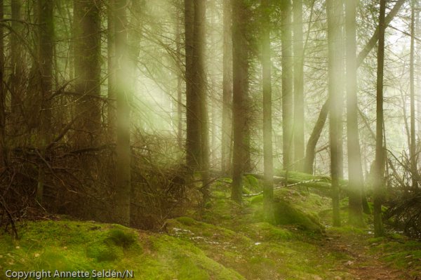 _DSC8051.jpg _DSC8051.jpg