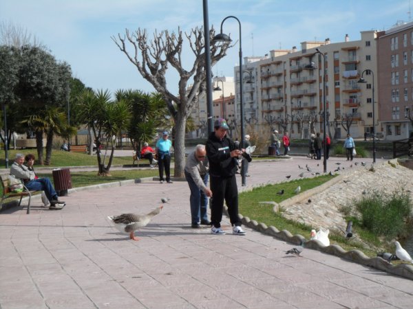 peniscola 21-3 2011 046.JPG