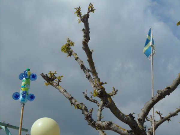 Våffeldagen 23-5 2011 020.JPG