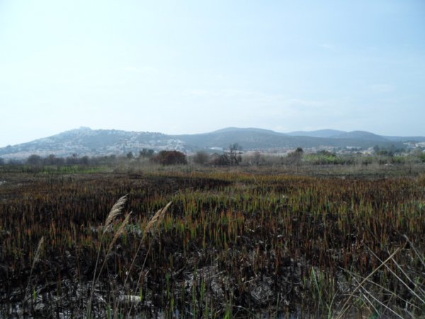 Söndag 26-3 2011 001.JPG