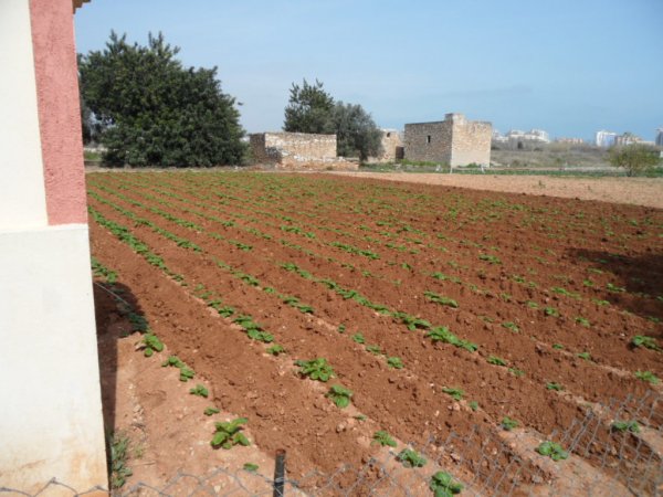 Söndag 26-3 2011 002.JPG