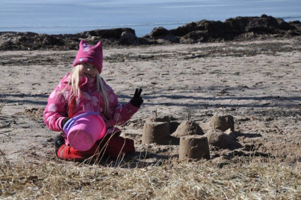 2011-03-26 008.jpg 2011-03-26 008.jpg