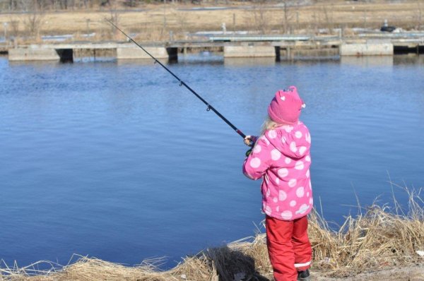 2011-03-26 039.jpg 2011-03-26 039.jpg