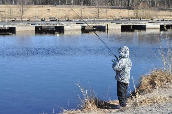 2011-03-26 046.jpg 2011-03-26 046.jpg