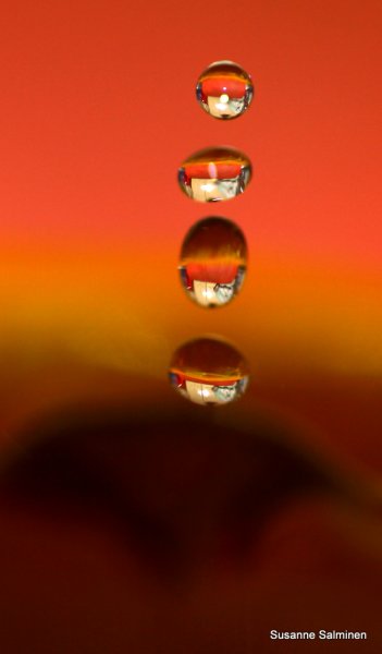 dropp 021.JPG dropp 021.JPG