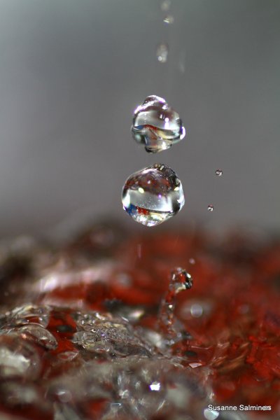 dropp 056.JPG dropp 056.JPG