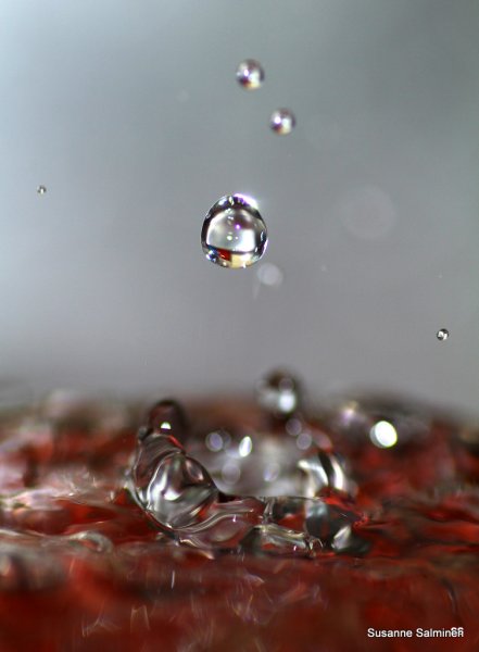 dropp 036.JPG dropp 036.JPG