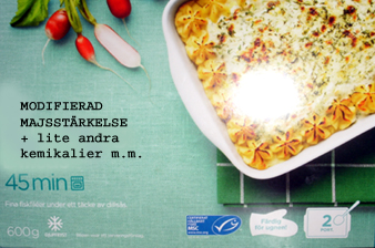 mod majs kopiera.jpg