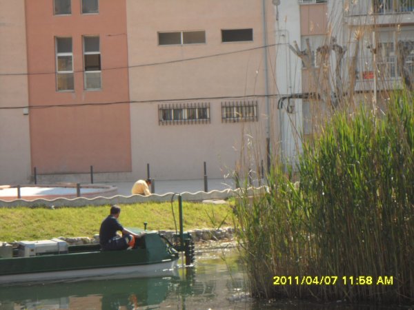 Den 7april 2011 Peniscola 001.JPG