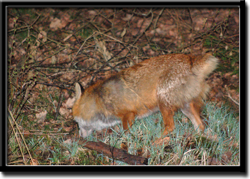 Micke_2.jpg Micke_2.jpg