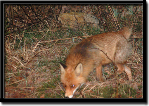 Micke_3.jpg Micke_3.jpg