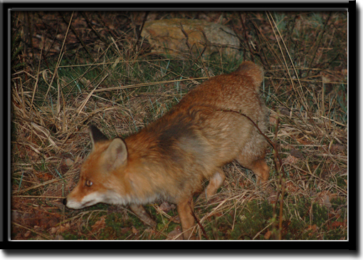 Micke_4.jpg Micke_4.jpg