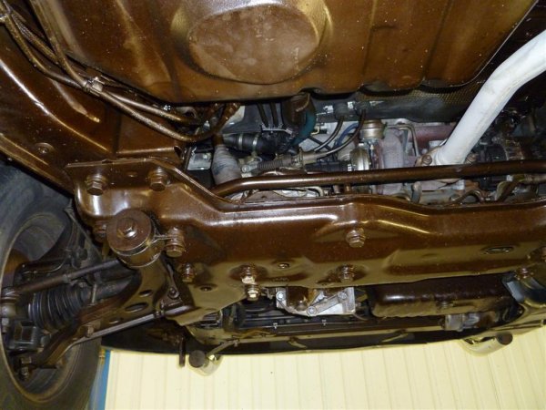 P1000208 (Large).JPG