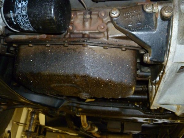 P1000211 (Large).JPG