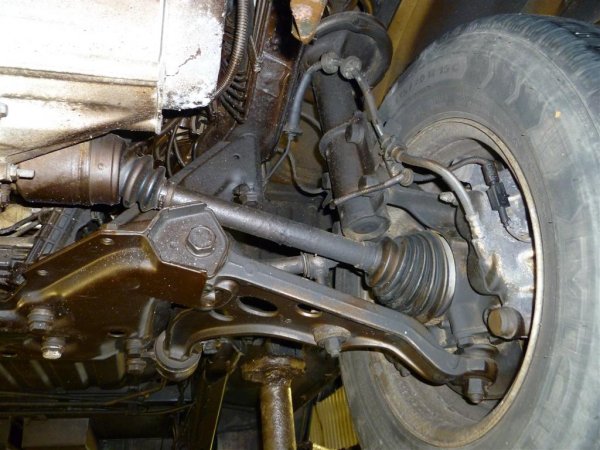 P1000213 (Large).JPG