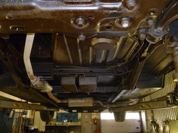 P1000215 (Large).JPG