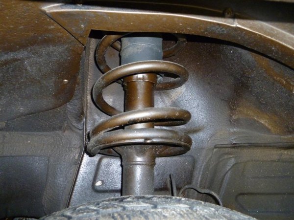 P1000218 (Large).JPG