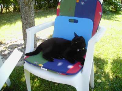 0007-400.jpg 0007-400.jpg