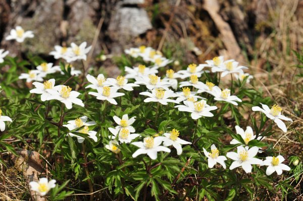 UDO_2385-1.JPG UDO_2385-1.JPG