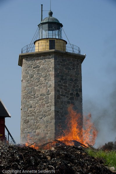 20110422.004.jpg 20110422.004.jpg