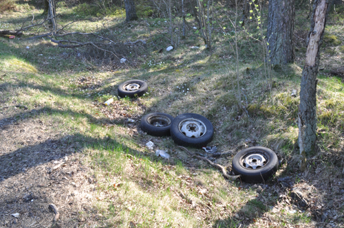 Sopberg_2.jpg Sopberg_2.jpg