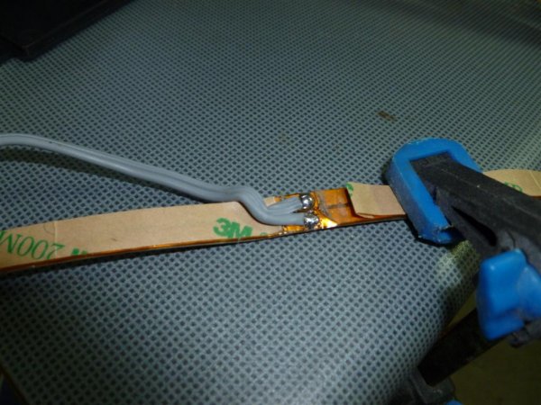 P1000241 (Large).JPG