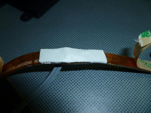 P1000242 (Large).JPG