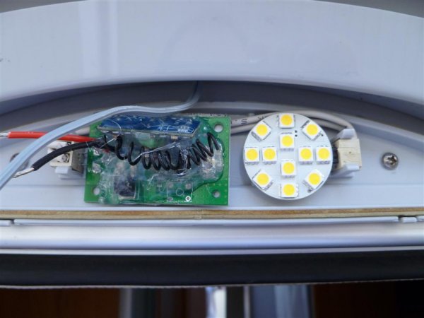 P1000262 (Large).JPG