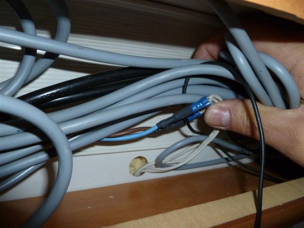 P1000252 (Large).JPG