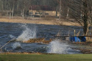 IMG_4339-1 (Small).jpg