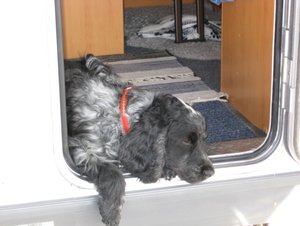 Vinter 20072008 046.jpg