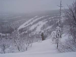 IMGP0028.JPG IMGP0028.JPG