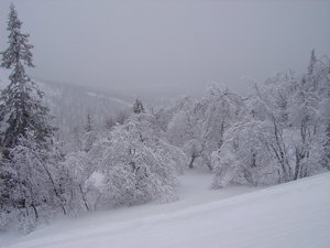 IMGP0015.JPG IMGP0015.JPG