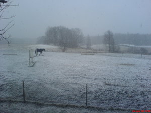 DSC04677.JPG DSC04677.JPG