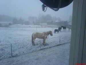 DSC04678.JPG DSC04678.JPG