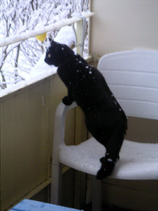 Millan osäker 2.jpg Millan osäker 2.jpg