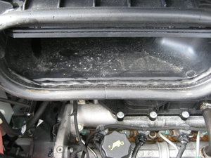 IMG_5141.JPG IMG_5141.JPG