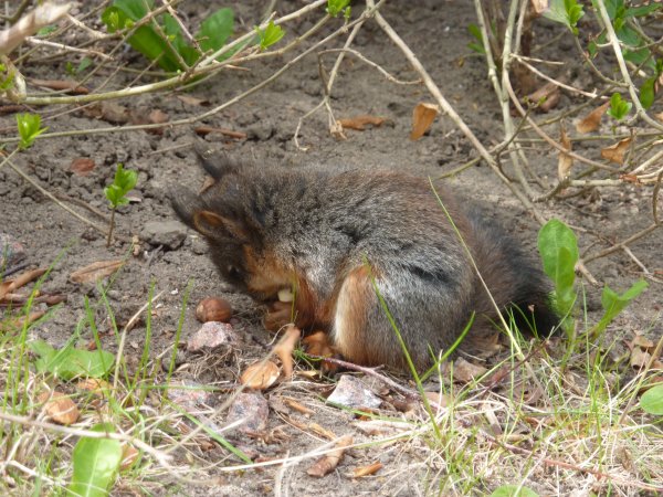 P1010189(1).JPG P1010189(1).JPG