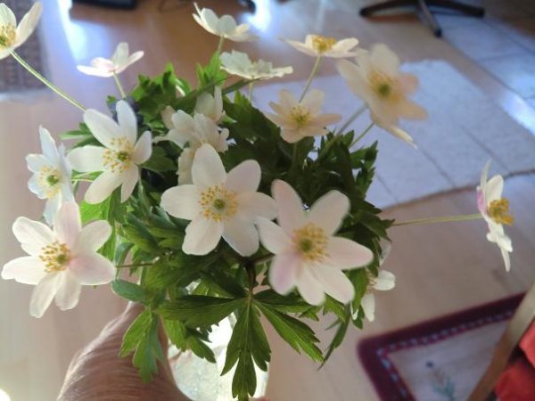 nya kameran test 005.jpg