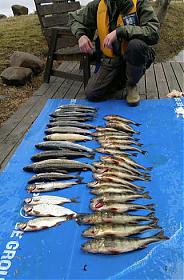 Skärmavbild 2011-05-14 kl. 21.58.49.jpg Skärmavbild 2011-05-14 kl. 21.58.49.jpg