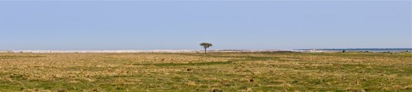 DSC_0465_2.jpg DSC_0465_2.jpg