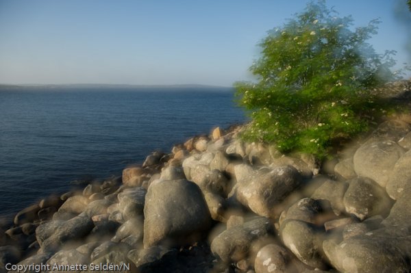 20110521.141.jpg 20110521.141.jpg