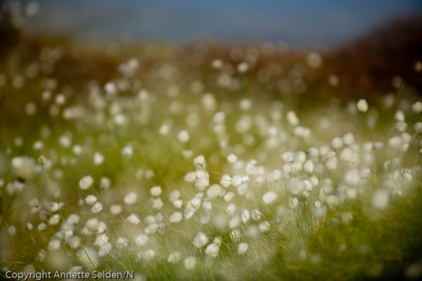 20110521.226.jpg 20110521.226.jpg