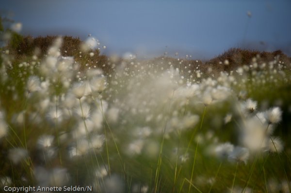 20110521.219.jpg 20110521.219.jpg