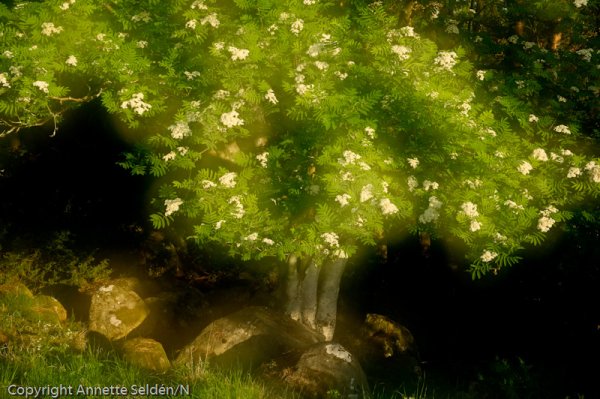 20110521.127.jpg 20110521.127.jpg