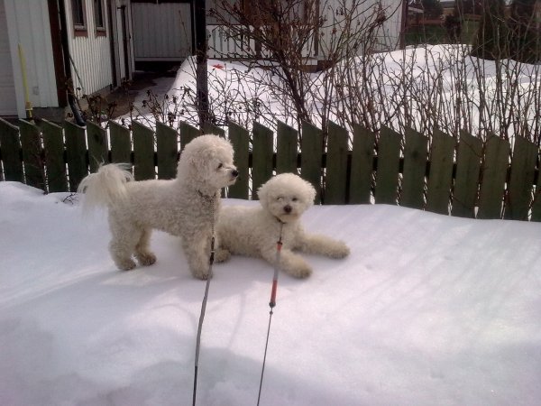 Bild0052.jpg Bild0052.jpg