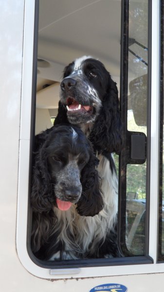 Vuvvarna.jpg Vuvvarna.jpg