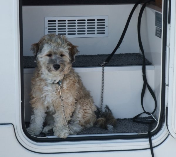 DSCF3059 (2) (1024x913).jpg