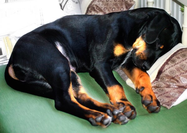 _IGP7790e.jpg _IGP7790e.jpg